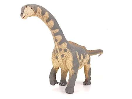 Safari Ltd. : SFR100309 โมเดลไดโนเสาร์ Camarasaurus