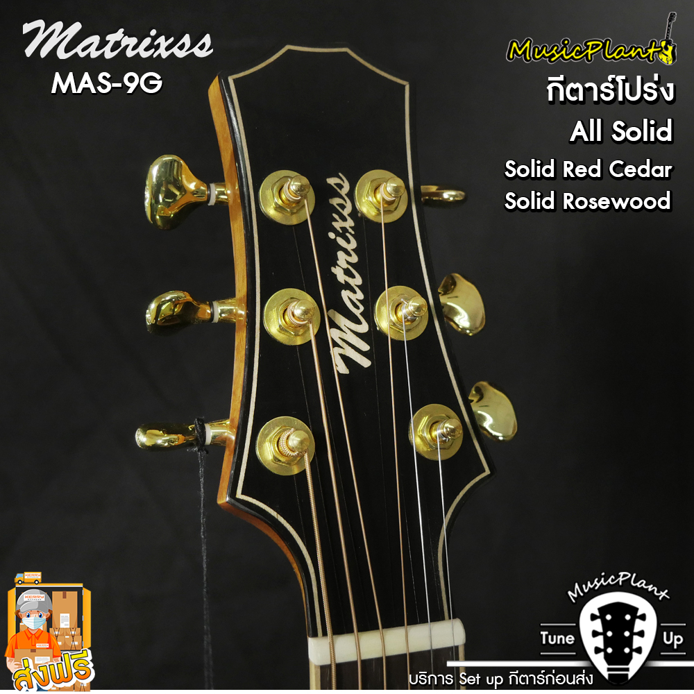 Matrixss กีตาร์โปร่ง/กีตาร์โปร่งไฟฟ้า รุ่น MAS-9G All Solid (Solid Cedar - Solid Rosewood)