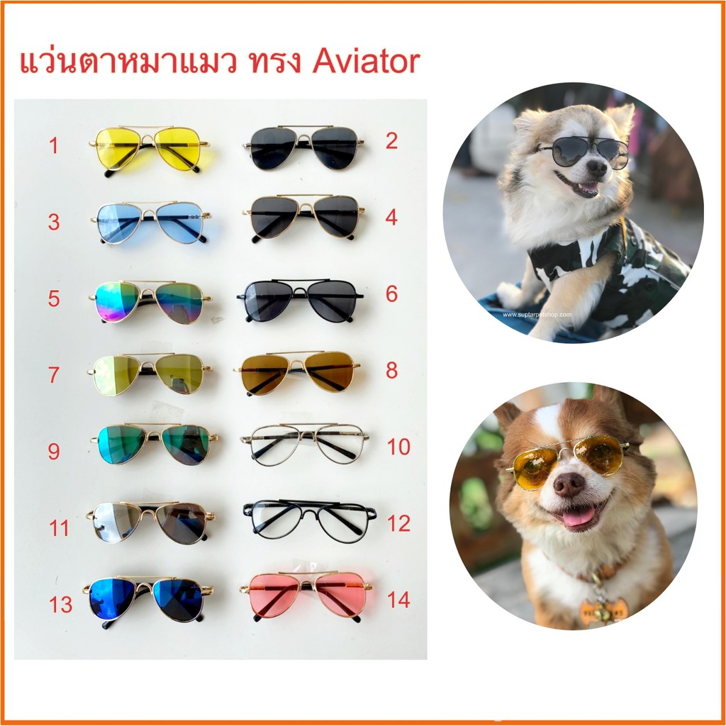 ❀  ? มีสายรัด ? แว่นแมว แว่นหมา แว่นสุนัข แว่นสัตว์เลี้ยง ราคาถูกหลายสี แว่นแฟชั่นน่ารักๆ สำหรับหมาตัวเล็ก