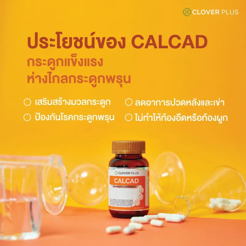 ภาพสินค้าClover Plus Calcad แคลแคท แคลเซียม พลัสวิตามิน แคลเซียม 2 ชนิด 1 กระปุก (30แคปซูล) (อาหารเสริม) จากร้าน CloverPlus บน Lazada ภาพที่ 3