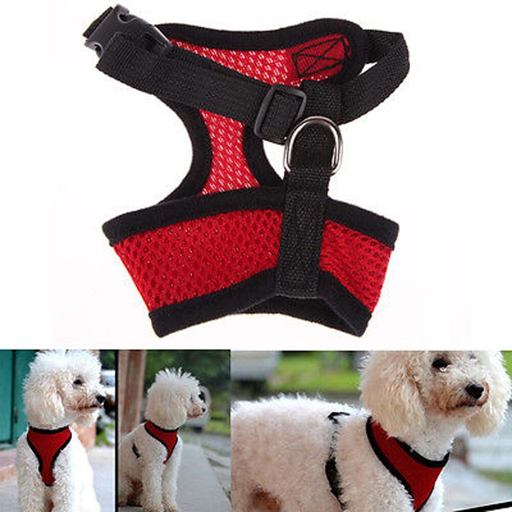 small dog harness for cat