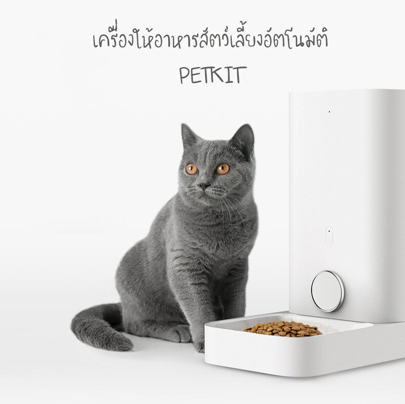 เครื่องให้อาหารอัตโนมัติ ที่ให้อาหารแมว Petkit