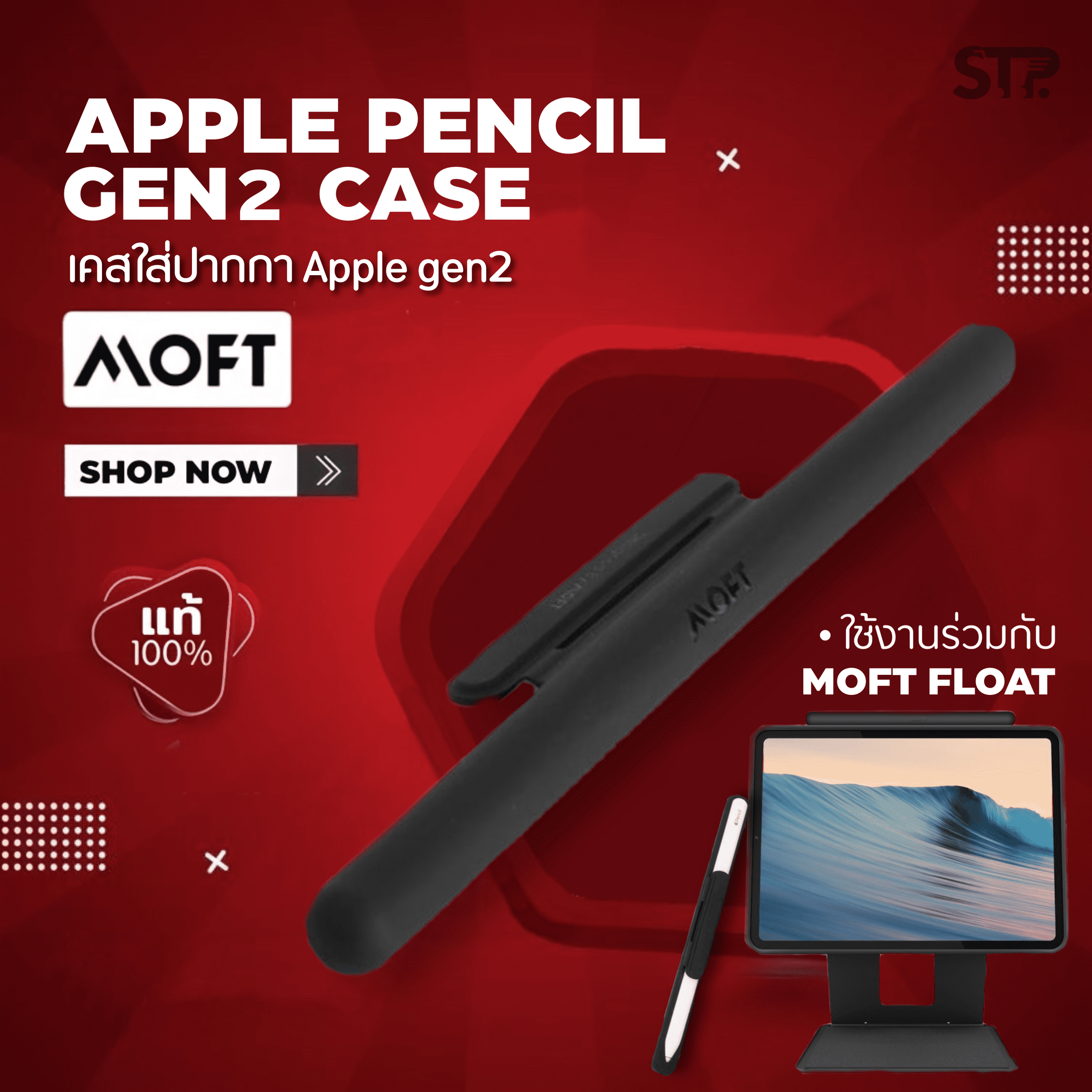 Apple Pencil Gen 2 Case – MOFT