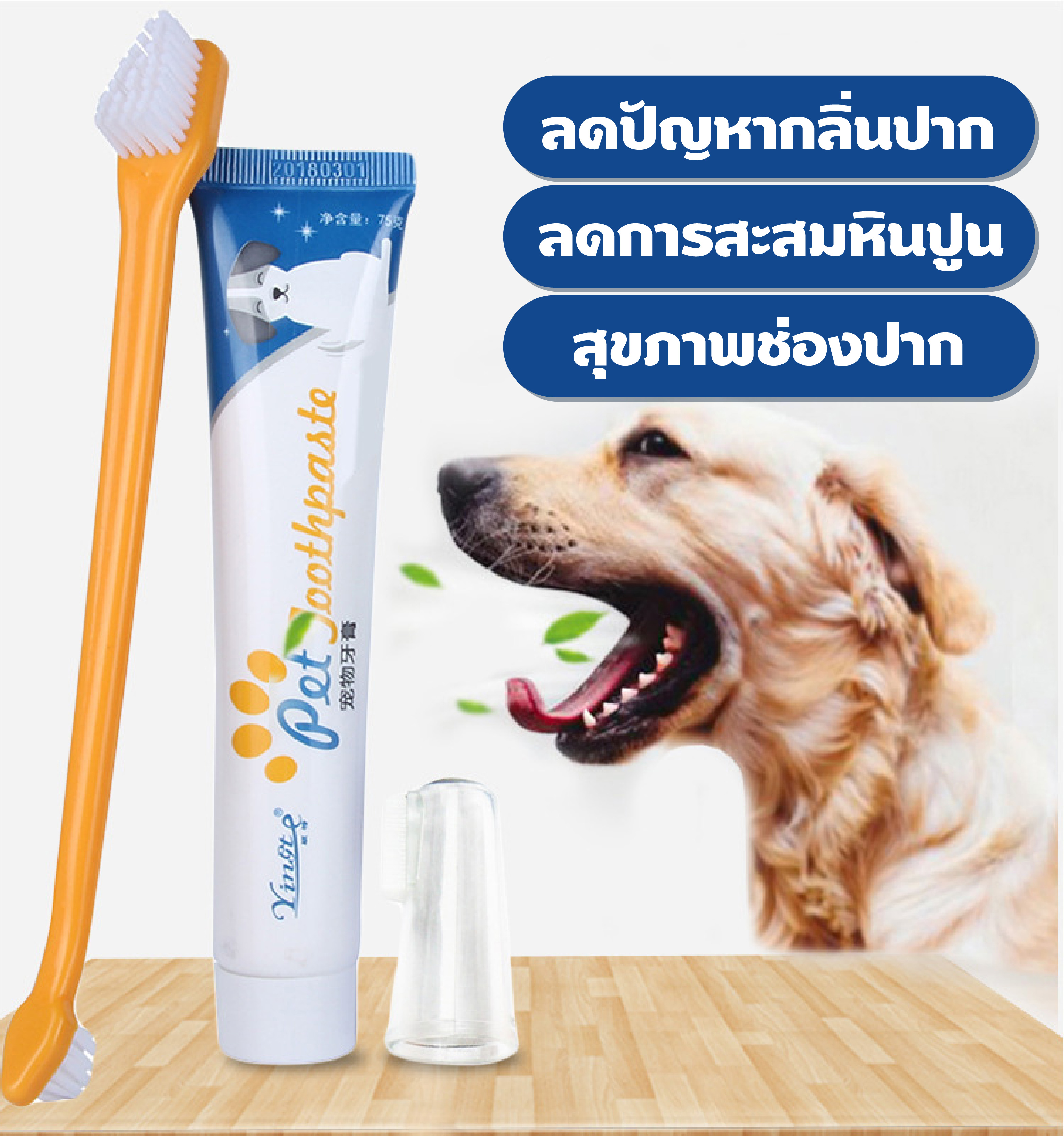 ชุดแปรงสีฟันสัตว์เลี้ยง ชุดแปรงสีฟันสุนัข หมา แปรงสีฟันสุนัข ยาสีฟันสุนัข (แถมที่แปรงสวมนิ้ว) พร้อมจัดส่ง แปรงแมว (รสเนื้อวัว)