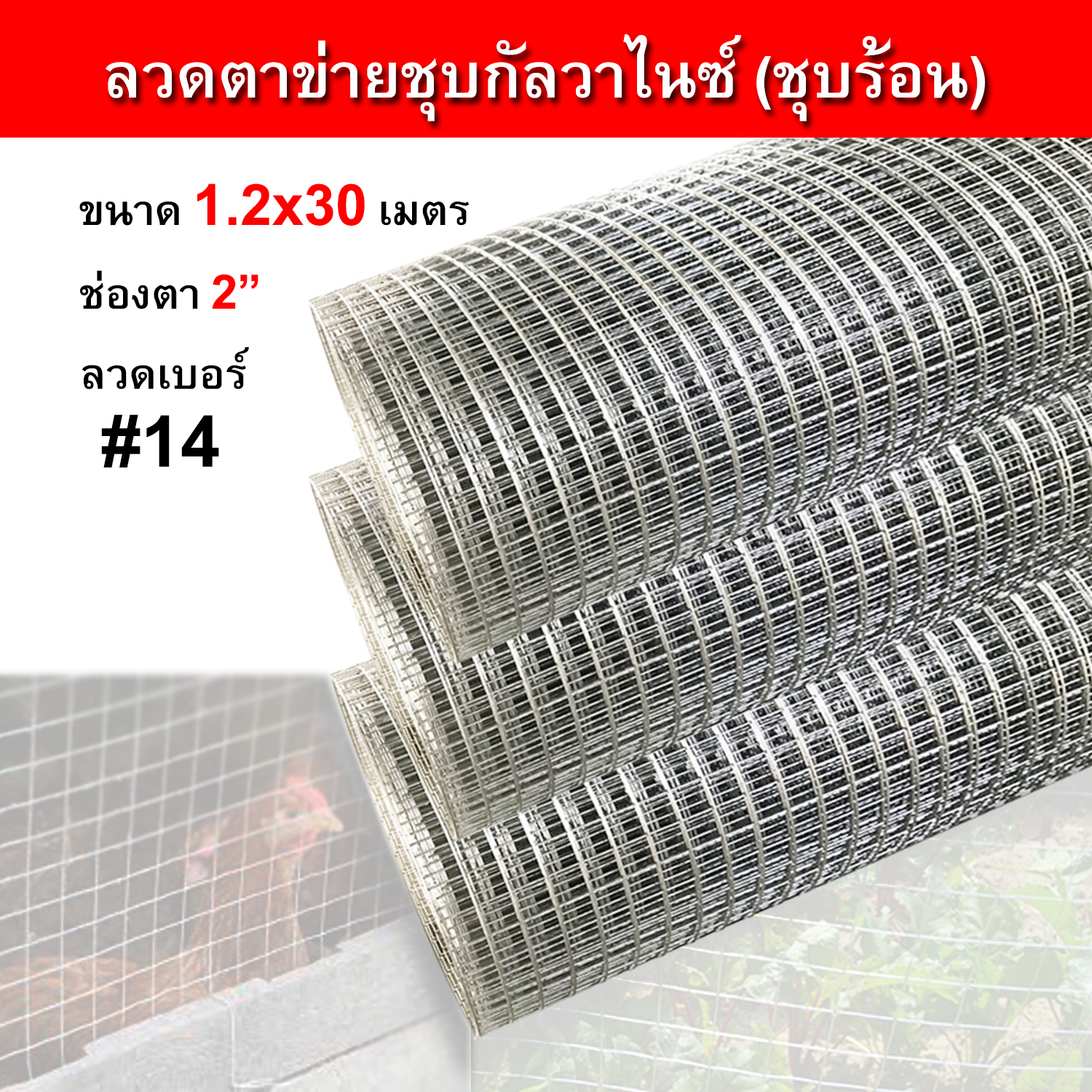 ลวดตาข่ายสี่เหลี่ยมชุบกัลวาไนซ์(ชุบร้อน) ช่องตา2นิ้ว ลวดเบอร์14(หนา2มิล) ลวดตาข่างกรงไก่ กรงนก ตะแกรง ก่อสร้างทนทาน ไม่เป็นสนิม