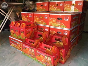 ภาพหน้าปกสินค้าส้มสายน้ำผึ้ง เบอร์ 6 แท้ จากอ.ฝาง กล่อง 5 กิโล ส้ม ส้มสด ส้มเขียวหวาน ที่เกี่ยวข้อง