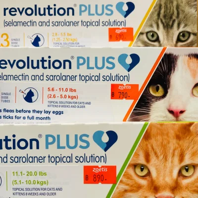 Revolution plus spot-on for cat (3pipettes/box)