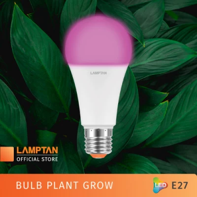 LAMPTAN Bulb Plant Grow หลอดไฟสเปกตรัมสำหรับปลูกต้นไม้ ขั้ว E27