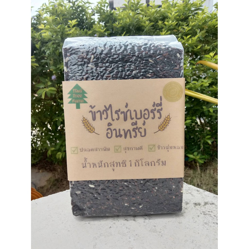 ✗◊  ข้าวไรซ์เบอร์รี่ออร์แกนิค 100-  1 กก 2 กก (แพคสูญญากาศ) Thai Tree Farm