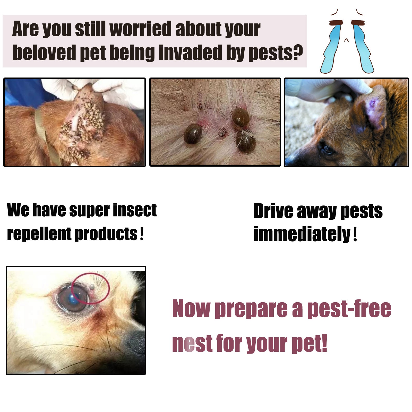 Photo inspiration: Family And Pet Flea Repellent Spray Convenient Safe To Use Photo Inspiration