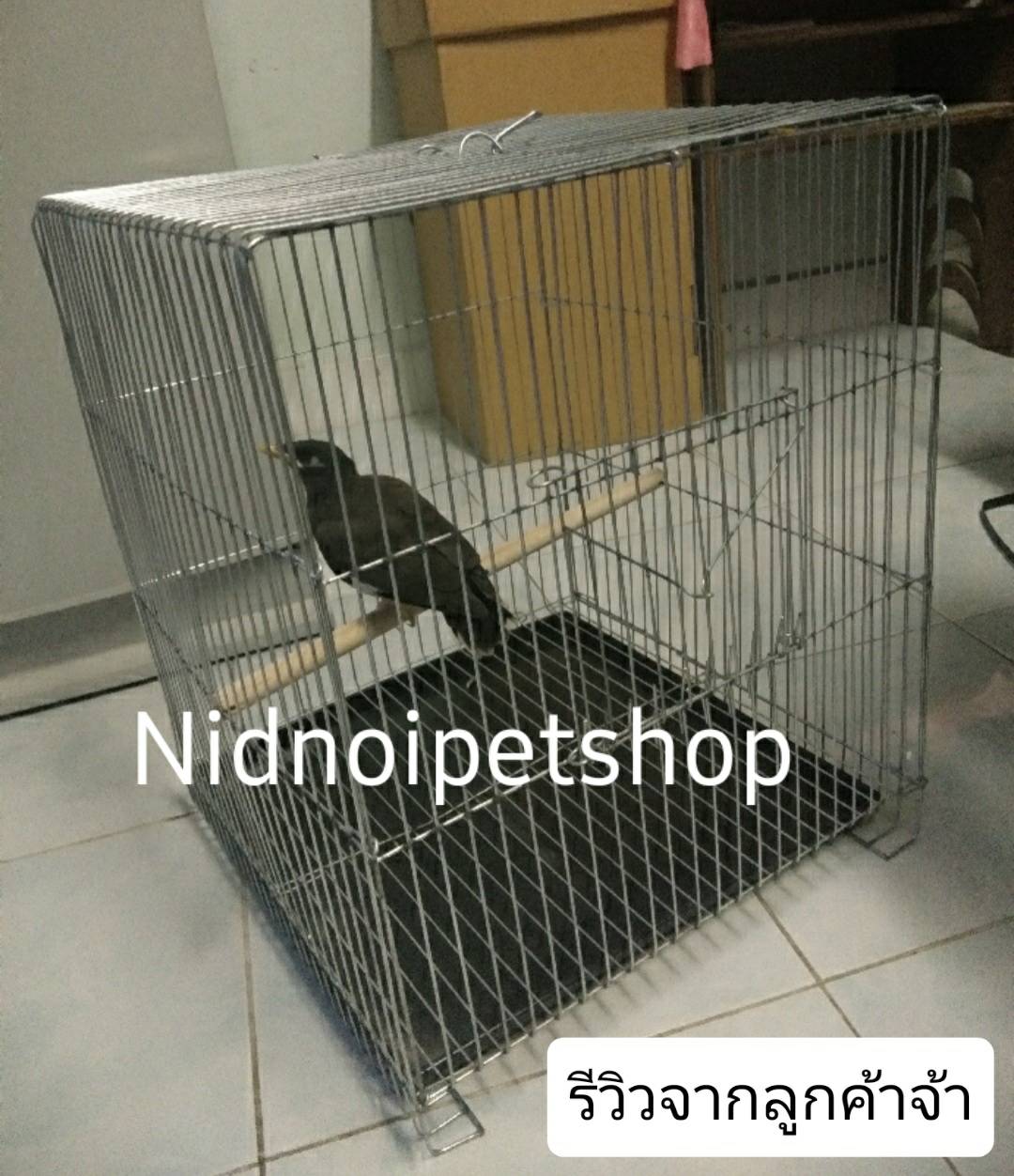 My Image 3