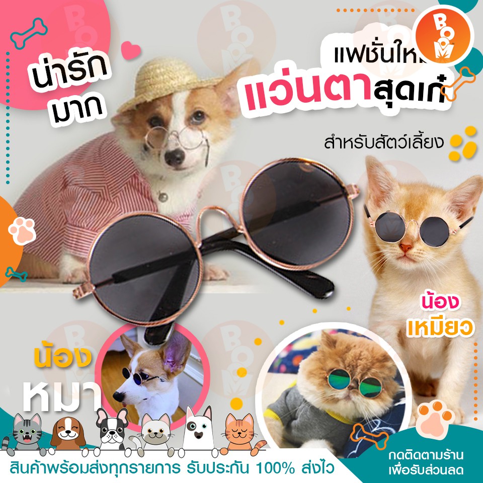 hot แว่นกันคอสเพลย์ สําหรับสัตว์เลี้ยง แว่นตาแมว แว่นตาหมา เพิ่มความ Cool! พร้อมส่งจากไทย xสีดำกรอบทองx แว่นแมว หมา