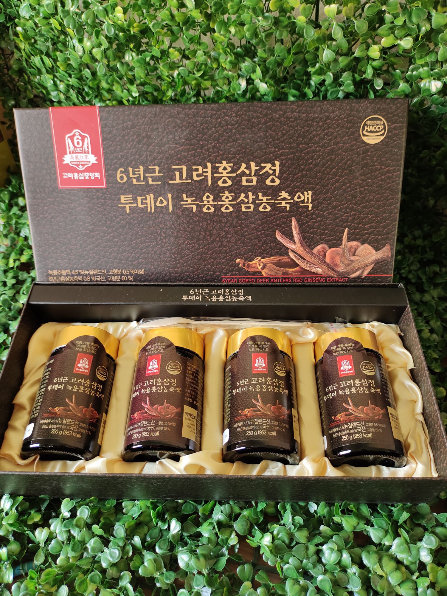 6 ปี GORYO DEER ANTLERS RED GINSENG EXTRACT(ราคาต่อ1ขวด)