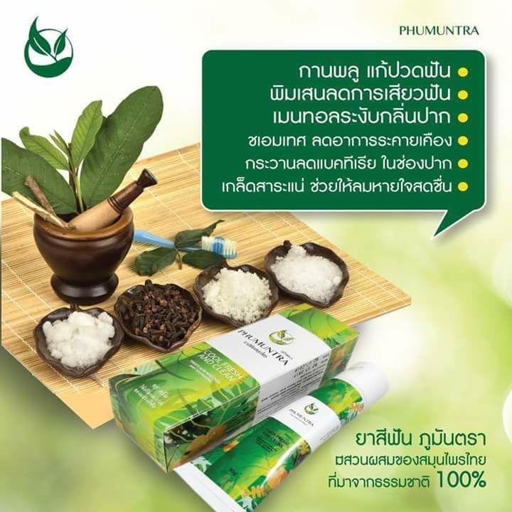 ยาสีฟันสมุนไพร ภูมันตรา หลอดขนาดใหญ่ 95 กรัม ( แพ็ค 6 หลอด)