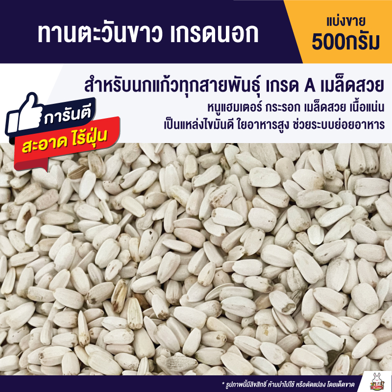 My Image 37