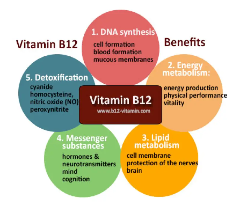 ภาพสินค้าโฟเลท วิตามินบี 12 BioActive Folate & Vitamin B12, 90 Vegetarian Capsules (Life Extension) Folic โฟเลต โฟลิค B-12 จากร้าน iBody Thailand บน Lazada ภาพที่ 7