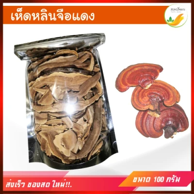 Ganoderma lucidum (Dry ) | Weight 100 gram