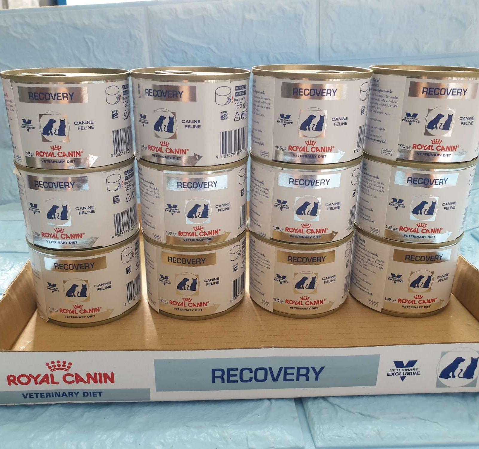royal canin recovery 195gr
