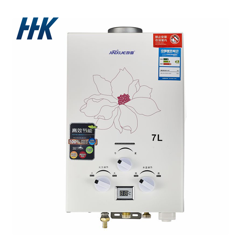 HHK392 gas water heater flue type water heater wholesale liquefied gas natural gas water heater household