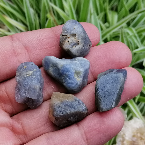 ไพลิน Sapphire น้ำหนัก 162.30 กะรัต จำนวน 5 เม็ด เผา พลอยก้อนแท้ หินแท้ หินอัญมณี หินมงคล