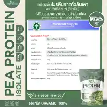 ภาพขนาดย่อของภาพหน้าปกสินค้าPea protein isolate (พีโปรตีน ไอโซเลท) เครื่องดื่มโปรตีนจากถั่วลันเตา 100% ปลอด GMO จำนวน 1 ถุง บรรจุ 1,000 กรัม จากร้าน MAX GB SHOP บน Lazada ภาพที่ 8