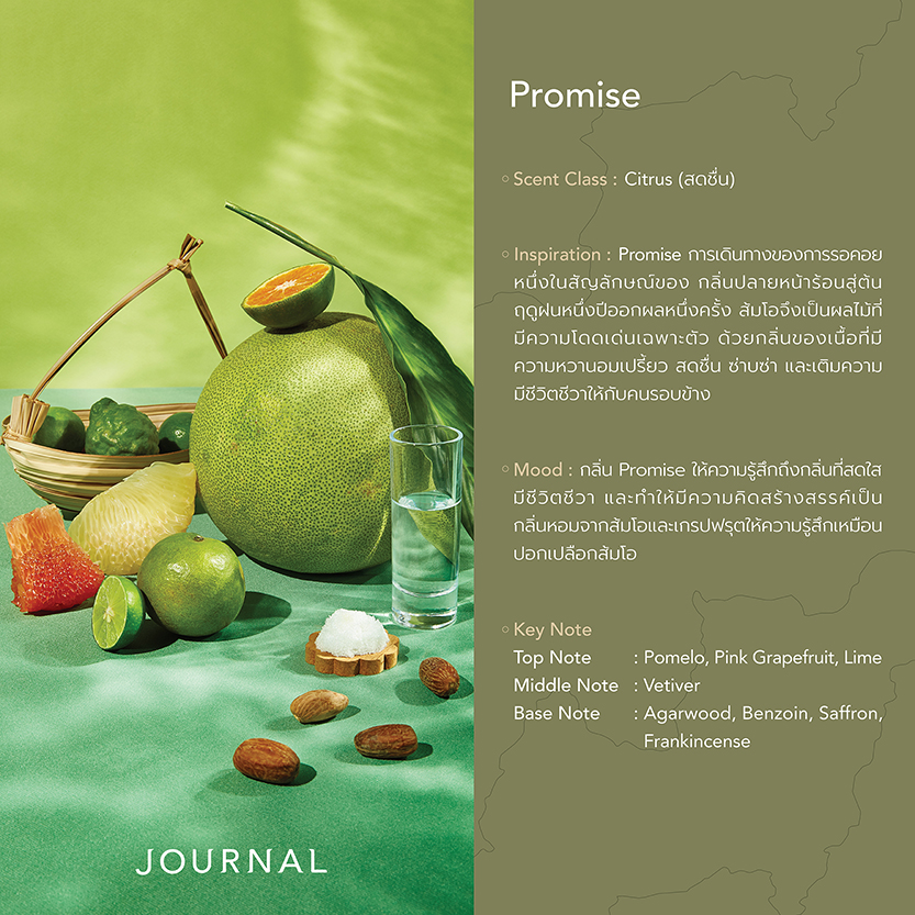 Journal The Legacy & Promise Duo Collection 30ml - Journal Boutique ...