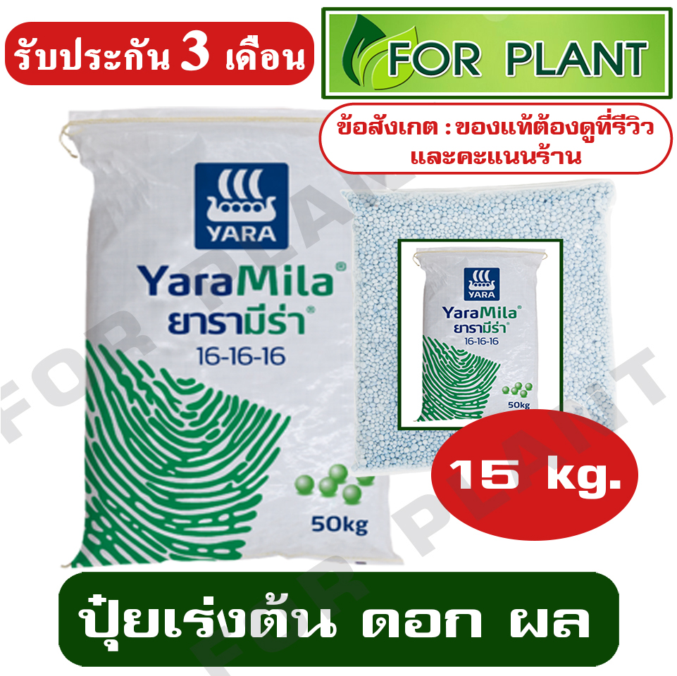 My Image 14