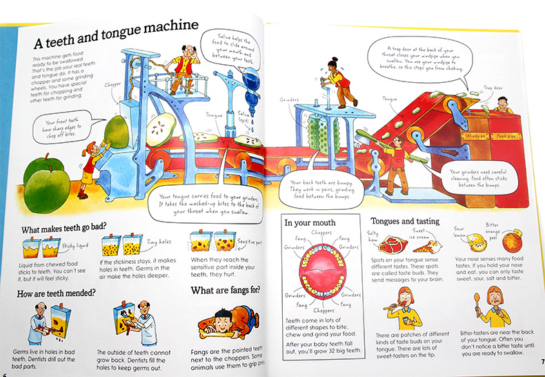 How does your body work Usborne English original picture book how your