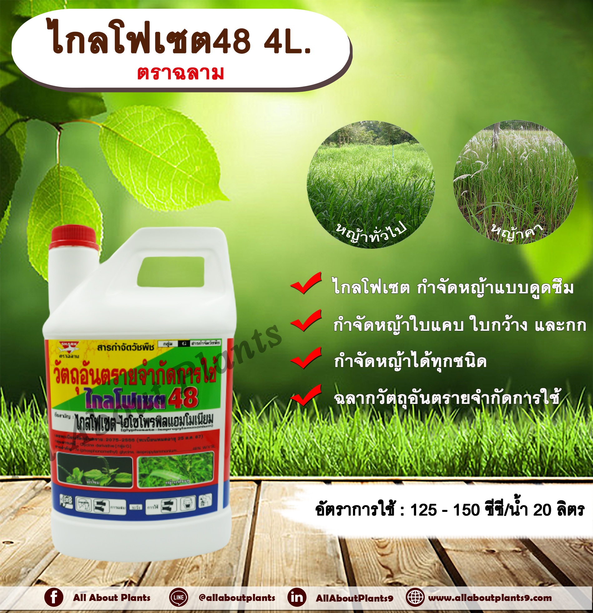 My Image 16