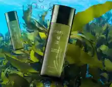 ภาพขนาดย่อของภาพหน้าปกสินค้าของแท้/ Haejo seaweed​ Anti-bac น้ำตบแฮโจ สาหร่ายสีน้ำตาล-สีแดง / น้ำตบ เฮโจ ซีวีด แอนตี้ แบค / แถม แผ่นมาร์คหน้า 5 ชิ้น / 1 ขวด ขนาด 120 ml. จากร้าน OK shop 999 บน Lazada ภาพที่ 2