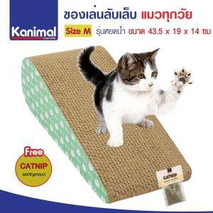 Kanimal Cat Toy ของเล่นแมว ที่ลับเล็บแมว รูปหยดน้ำ สำหรับแมว Size M ขนาด 43.5x19x14 ซม. ฟรี! Catnip กัญชาแมว