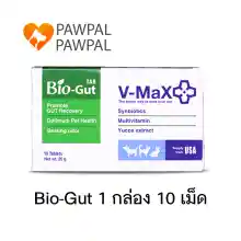 ภาพขนาดย่อของภาพหน้าปกสินค้าV-max Bio-Gut 20 g Exp.1/2024 Probiotics โพรไบโอติก Bio Gut อาหารเสริม ปรับสมดุลทางเดินอาหาร ท้องเสีย ท้องผูก ฟื้นฟูเซลล์ลำไส้ (1 กล่อง 10 เม็ด) จากร้าน Pawpal Pawpal บน Lazada