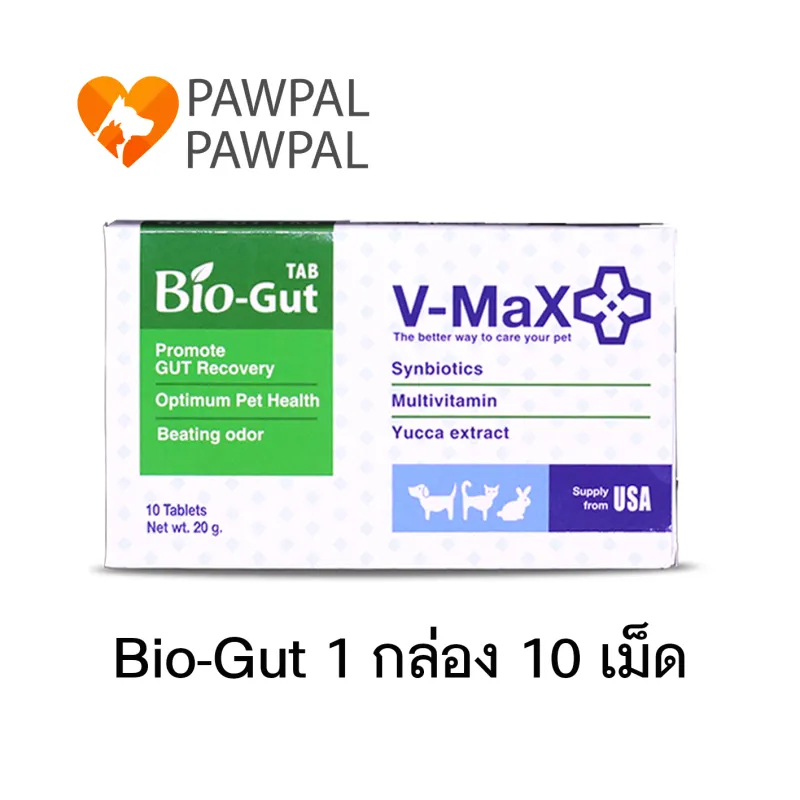 ภาพหน้าปกสินค้าV-max Bio-Gut 20 g Exp.1/2024 Probiotics โพรไบโอติก Bio Gut อาหารเสริม ปรับสมดุลทางเดินอาหาร ท้องเสีย ท้องผูก ฟื้นฟูเซลล์ลำไส้ (1 กล่อง 10 เม็ด) จากร้าน Pawpal Pawpal บน Lazada