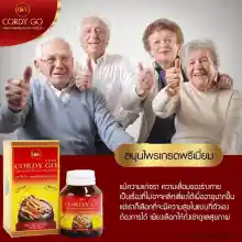 ภาพขนาดย่อของภาพหน้าปกสินค้าCordy Go คอร์ดี้ โกส่ ซื้อ1 กระปุกใหญ่ 60 แคปซูลแถมฟรี ขนาดทดลอง 7 แคปซูล 2 กระปุก ถั่งเช่า 450 mg เเละเห็ดหลินจือ จากร้าน Emma45 Shop บน Lazada ภาพที่ 3