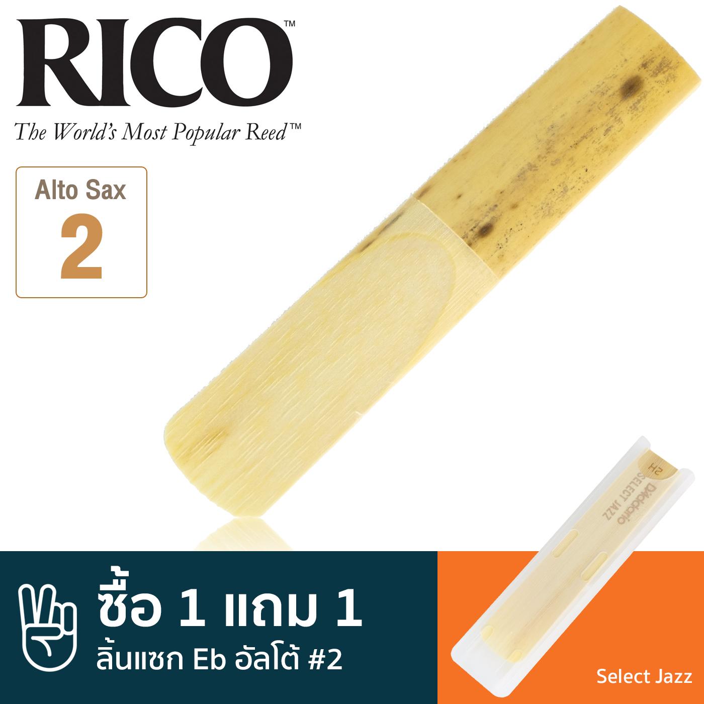 Rico™ Select Jazz ลิ้นแซกโซโฟน อัลโต้ เบอร์ 2 (ลิ้นอัลโต้แซก เบอร์ 2, Eb Alto Sax Reed #2) ** ซื้อ 1 แถม 1 **