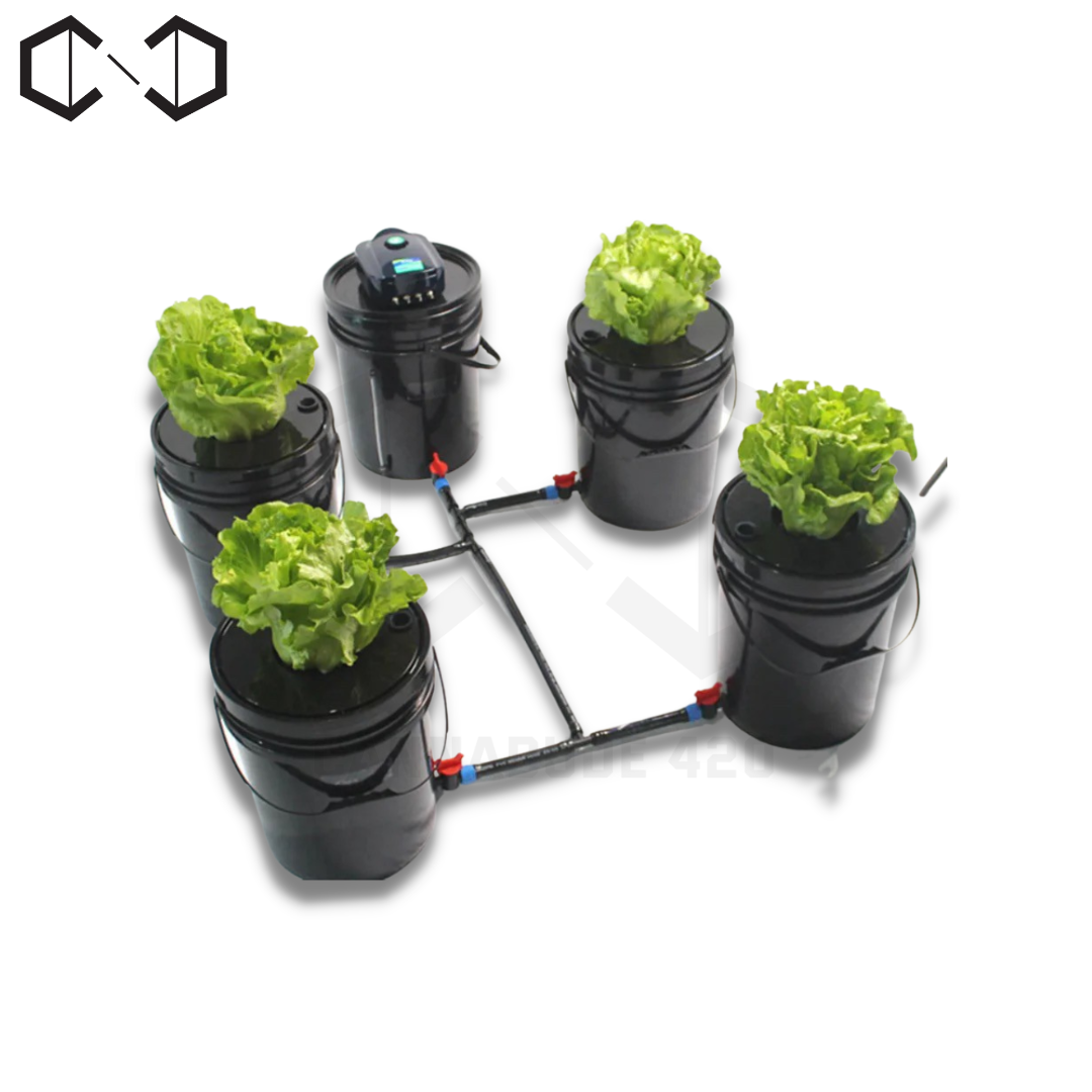 ชุดปลูกครบเซ็ท Hydroponic Grow System Deep Water Culture (DWC) Complete