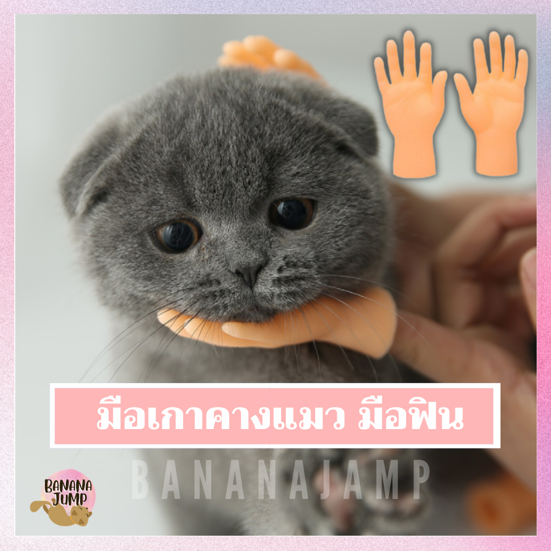 BJ Pet - มือเกา มือเกาคางแมว มือฟิน เพิ่มความฟิน ของเล่นแมว มือปลอม สำหรับสัตว์เลี้ยง