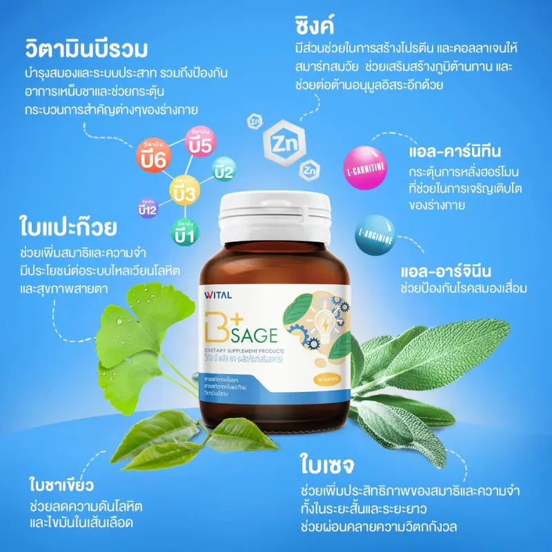 ภาพสินค้าWITAL - Wital B+ Sage อาหารเสริมบำรุงสมอง วิตามินบีรวม + ใบเซจ (1 ขวด) จากร้าน WITAL บน Lazada ภาพที่ 2