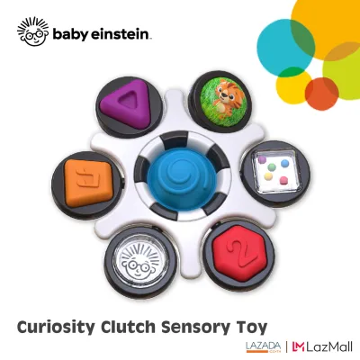 Curiosity Clutch Sensory Toy
