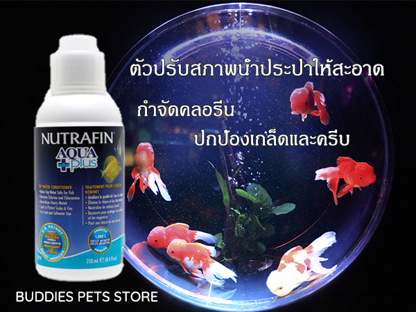 Nutrafin Aqua Plus ตัวปรับสภาพน้ำประปาให้สะอาด และปลอดภัยต่อปลา ขนาด  250ml.