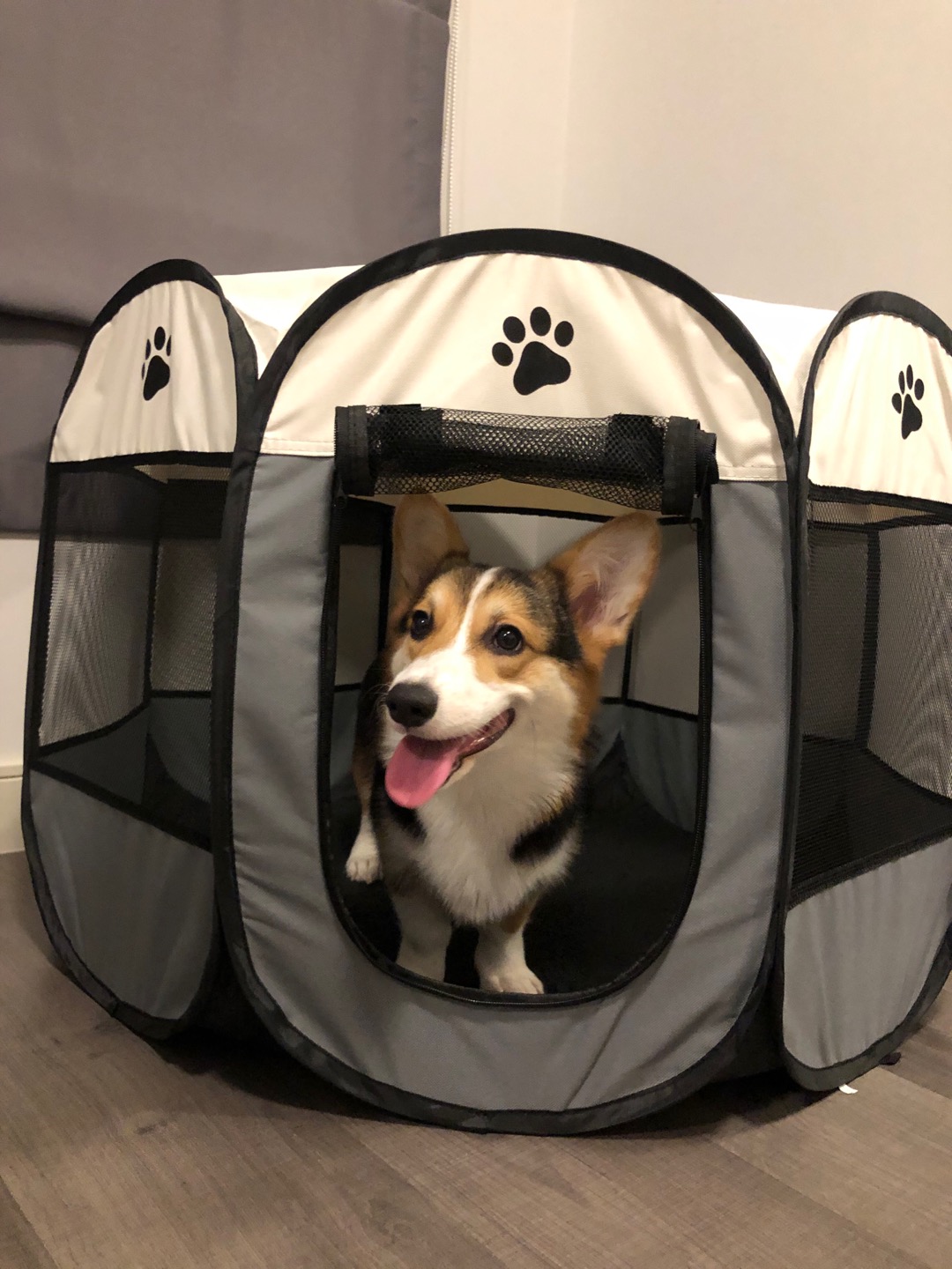 บ้านสุนัขในร่มเต็นท์สัตว์เลี้ยงคอกสุนัขแบบพกพา คอก 8 เหลี่ยมแบบพับได้ ที่นอนสุนัขพกพา คอกสัตว์เลี้ยง พับได้ Pet Tent