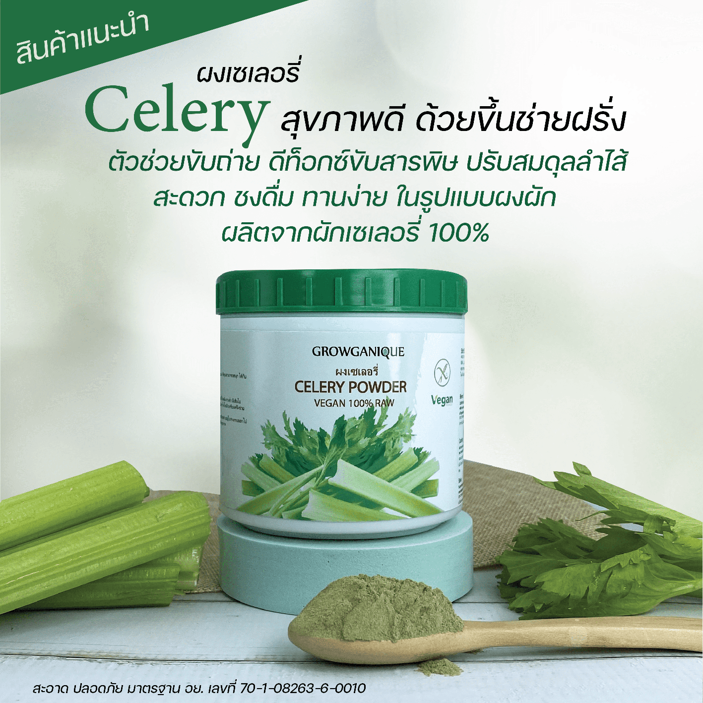 ผงเซเลอรี่ ออร์แกนิค Organic Celery powder Lazada.co.th