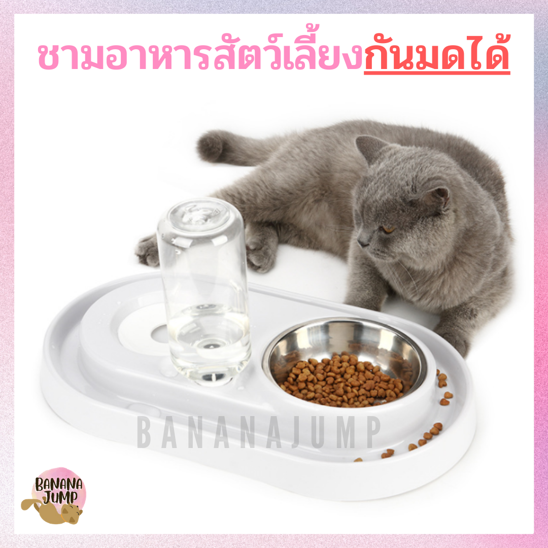 BJ Pet  - ชามอาหารสัตว์เลี้ยง กันมดได้ ชามน้ำอัตโนมัติ ชามอาหารแมว ชามอาหารแมว สำหรับสัตว์เลี้ยง