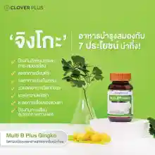 ภาพขนาดย่อของภาพหน้าปกสินค้าClover Plus Multi B+ Ginkgo มัลติบี พลัส จิงโกะ สารสกัดจากใบแป๊ะก๊วย อาหารเสริมบำรุงสมอง เพิ่มความจำ ลดอาการสมาธิสั้น แก้ปวดหัวไมเกรน อัลไซเมอร์ ช่วยในการนอนหลับ บำรุงระบบประสาท เสริมสร้างภูมิต้านทานให้ร่างกาย (สุดคุ้ม x2) แถม จิงโกะ โคคิวเท็น 7 แคปซูล จากร้าน CloverPlus บน Lazada ภาพที่ 3