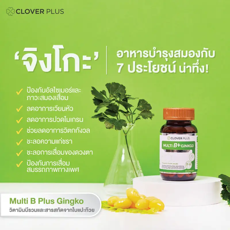 ภาพสินค้าClover Plus Multi B+ Ginkgo มัลติบี พลัส จิงโกะ สารสกัดจากใบแป๊ะก๊วย อาหารเสริมบำรุงสมอง เพิ่มความจำ ลดอาการสมาธิสั้น แก้ปวดหัวไมเกรน อัลไซเมอร์ ช่วยในการนอนหลับ บำรุงระบบประสาท เสริมสร้างภูมิต้านทานให้ร่างกาย (สุดคุ้ม x2) แถม จิงโกะ โคคิวเท็น 7 แคปซูล จากร้าน CloverPlus บน Lazada ภาพที่ 3