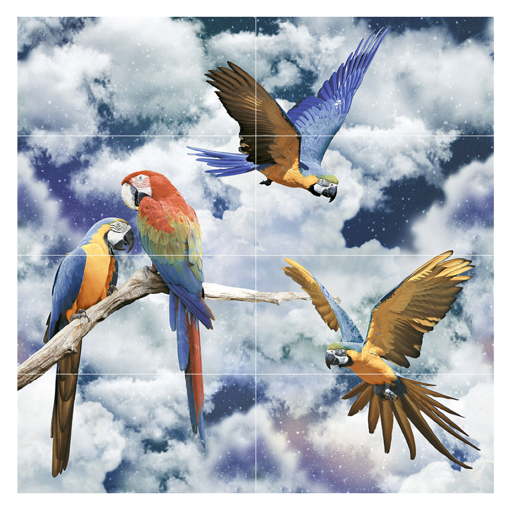กระเบื้องผนังภาพชุด PARROTS SET 120X120*A (8 แผ่น/กล่อง)