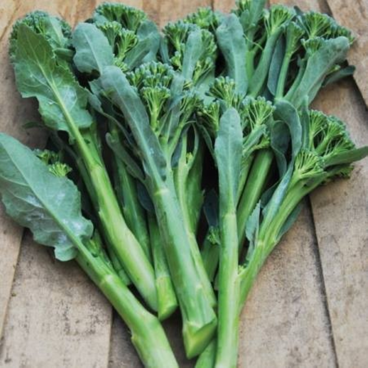 hot เบบี้บล็อคโคลี่  Green Sprouting Broccoli