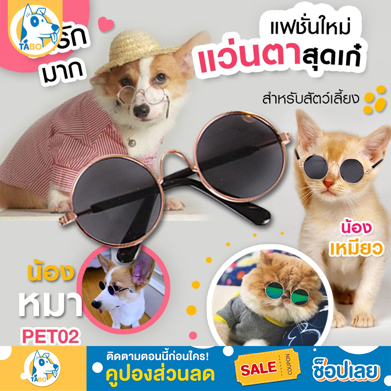 ? แว่นแมว แว่นตาแมว ? ใช้ได้ทุกสายพันธุ์และสุนัขพันธ์เล็ก แมว สุนัข  สัตว์เลี้ยง อุปกรณ์แต่งตัวแมว ทาสแมว
