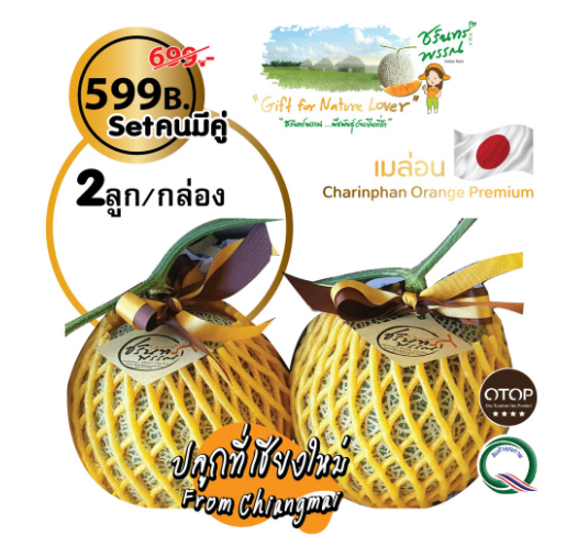 Melon Chiangmai  Melon Set คนมีคู่ เมล่อนเชียงใหม่ไร่ชรินทร์เมล่อนญี่ปุ่นจากเชียงใหม่ OTOP พรีเมี่ยม