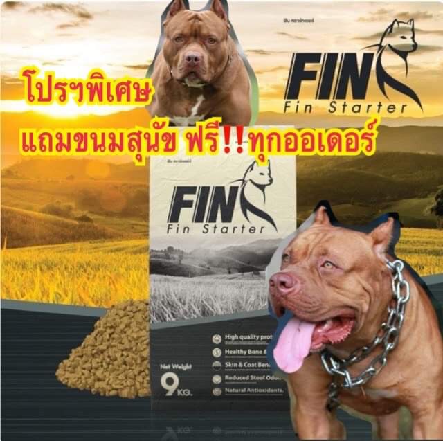 FIN Starter อาหารสุนัขฟิน เกรดพรีเมี่ยม โปรตีนสูงถึง33% ช่วยให้ขนเงางาม ผิวหนังแข็งแรง